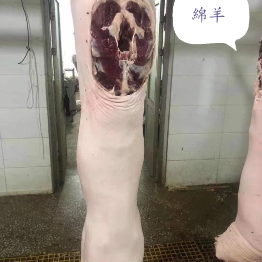 沈阳白条羊  带皮整只绵羊