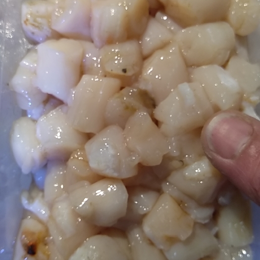 大连海湾扇贝  原浆扇贝丁