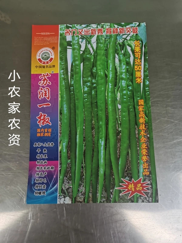 苏润一椒辣椒种子，青果绿色 红果鲜艳 辣味适中商品性好