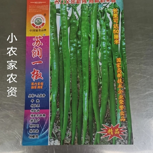 苏润一椒辣椒种子，青果绿色 红果鲜艳 辣味适中商品性好