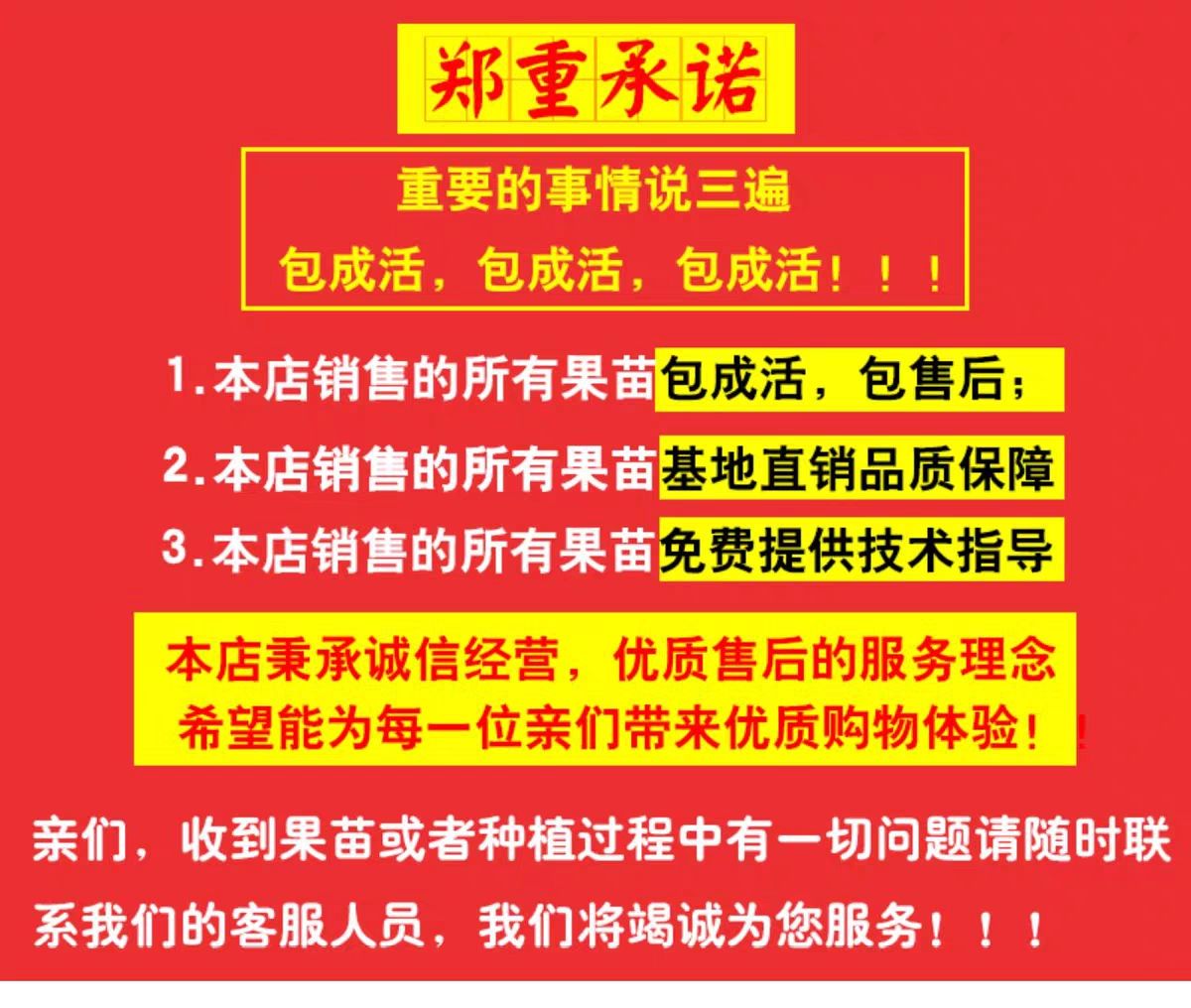 红玫瑰葡萄苗  畅销品种，皮薄肉香，保证质量，量大优惠可以来实地考察签证