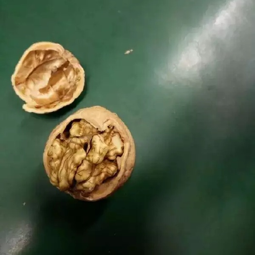 淳化县 正宗山核桃，，天然成长，油香，自然脱壳。放心食用。