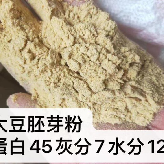 石家庄大豆胚芽粉