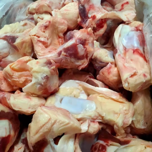 阳信县牛骨  纯干精修去油牛窝骨，筋痩比例好。厂家直销一手货源质量稳定