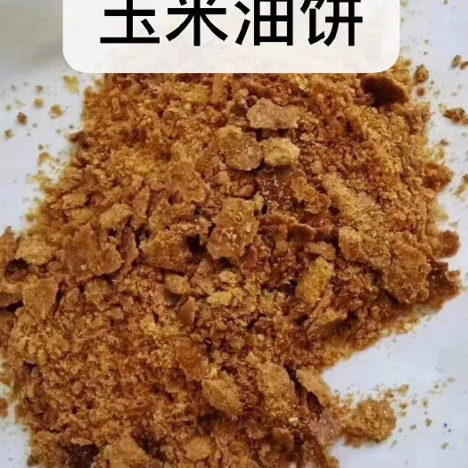 石家庄油葵饼  玉米油饼