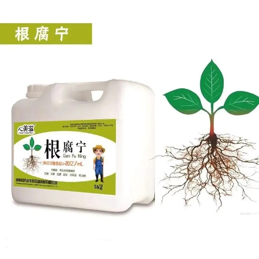 济宁菌肥  根腐宁