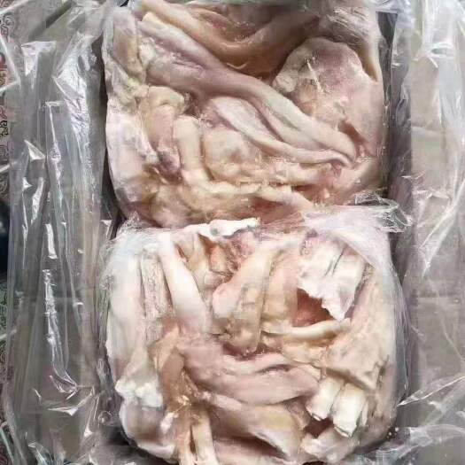 牛蹄筋  国产均有 全国可发货厂家直销