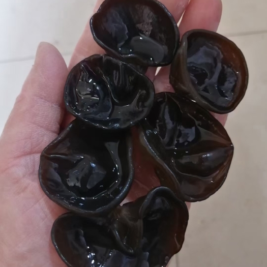 {包邮}东北产地直发黑木耳，单片无根肉厚口感好，欢迎咨询