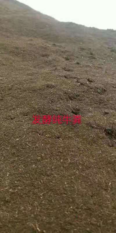 正定县牛粪有机肥