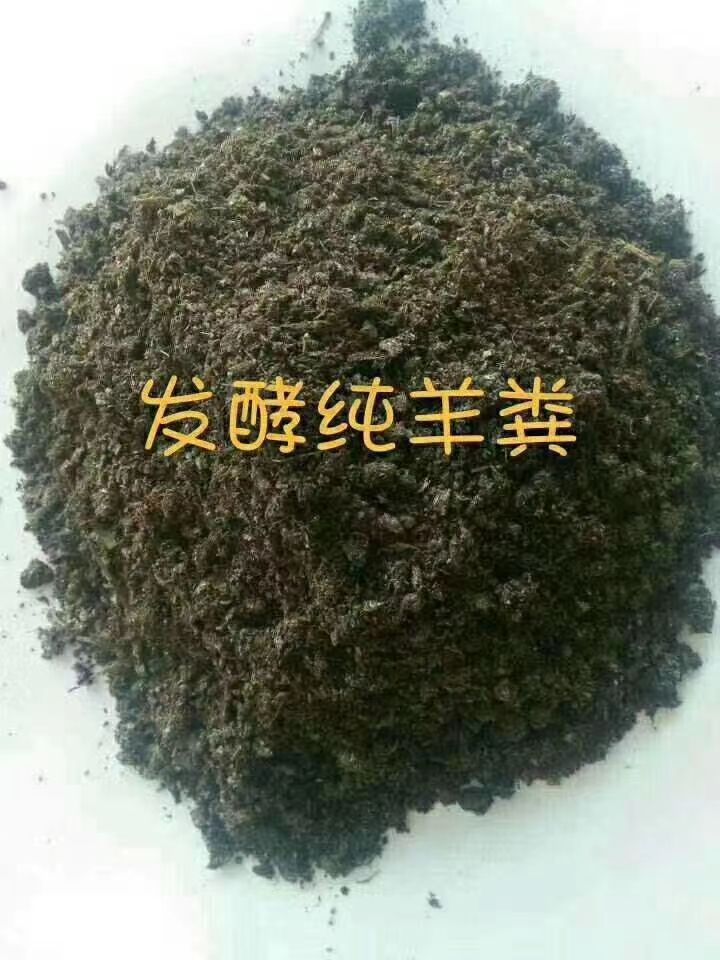 有机肥批发    羊粪有机肥   烘干发酵纯羊粪  改良土