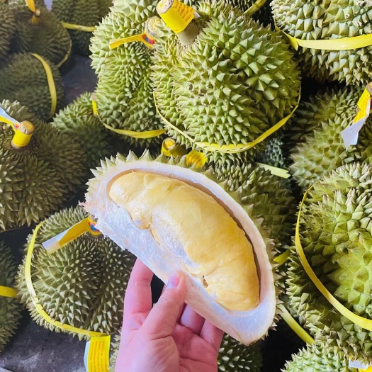 昆明托曼尼榴莲  泰国金枕榴莲（一件代发）包邮