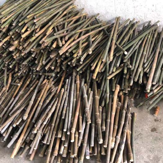 浏阳市 玉竹，工艺用品