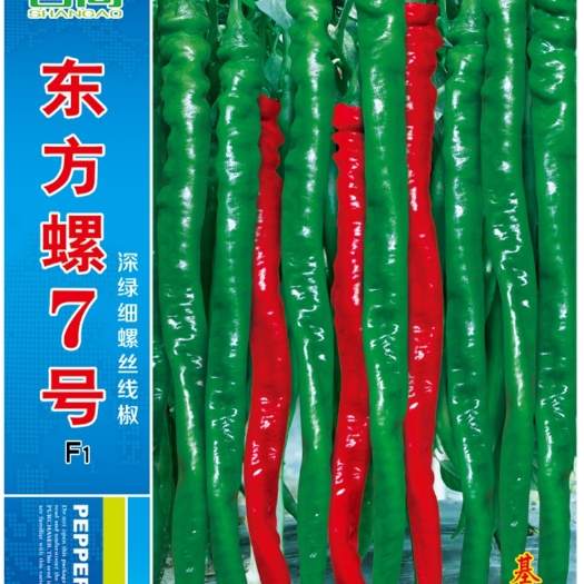 樟树市螺丝椒种子  东方螺7号深绿细螺丝线椒杂交辣椒种子高产抗病耐高温高湿口感好