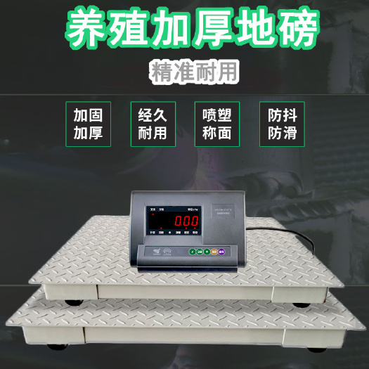 卫辉市电子地磅 畜牧秤 小地磅3t 耀华称猪 防抖地磅