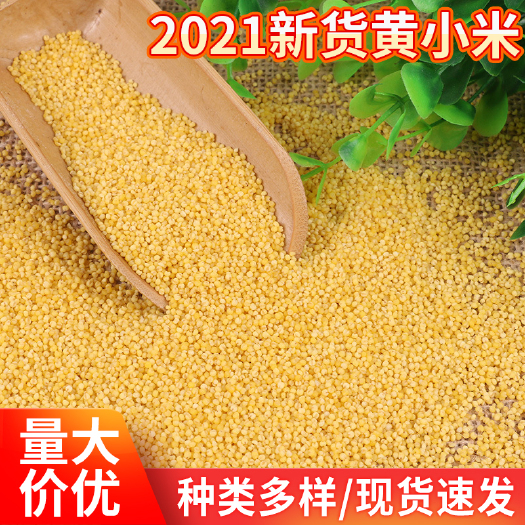 2021年新货农家黄小米 月子米黄金苗小米袋装五谷杂粮黄小米