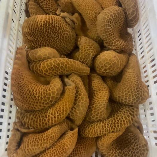 武汉卤牛肚 全熟五香卤金钱肚