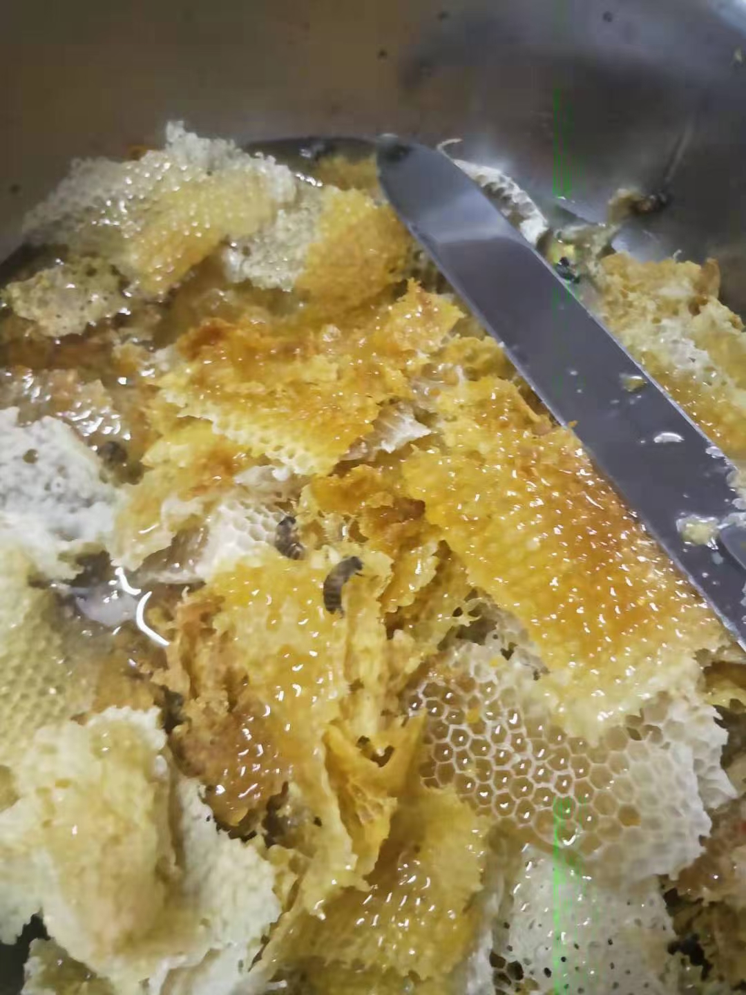 百花蜜 自家养的蜂蜜