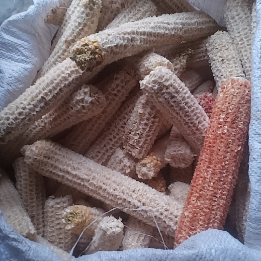 安顺谷物饲料 玉米芯