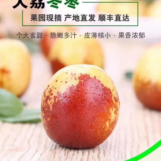 大荔县冬枣  新鲜