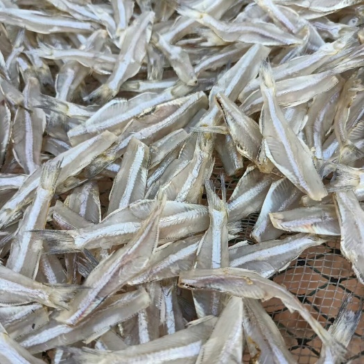 遂溪县银鱼干  精品小鱼干 高档消费人群