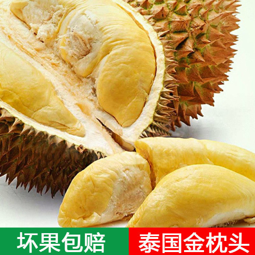 南宁金枕榴莲  泰国水果