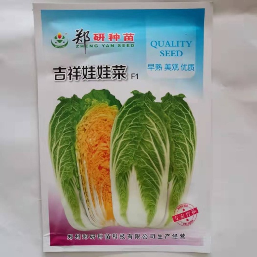 郑州 郑研吉祥娃娃菜种子 黄心娃娃菜种子 早熟性好45天收获产量高