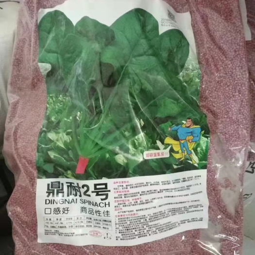 郑州圆叶菠菜种子  郑研鼎耐2号杂交菠菜种子 黑圆叶菠菜 抗病性强 叶片厚