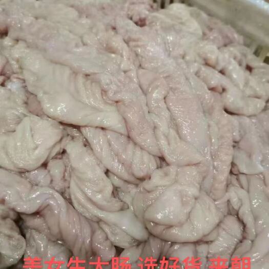 哈尔滨猪肠  肥肠