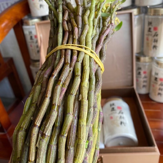  临安天目山新鲜铁皮石斛新鲜采新鲜发一斤装