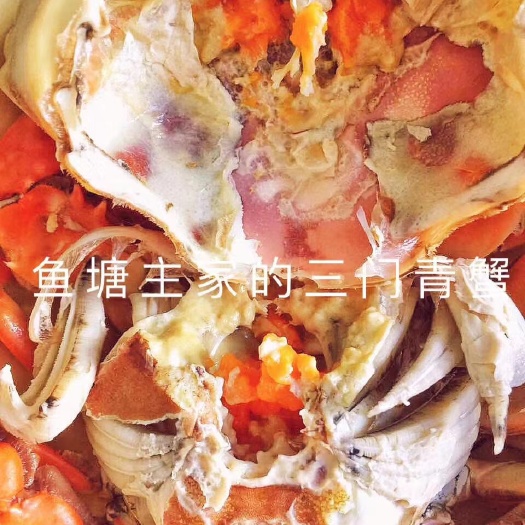 三门县 正宗三门青蟹