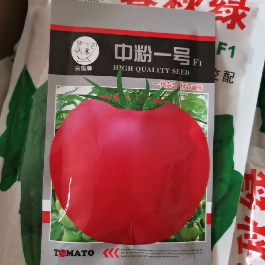 成都硬粉番茄种子  中粉一号   杂交粉果