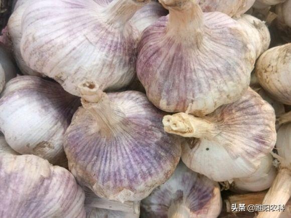 郓城县大蒜种子  干蒜，蒜种