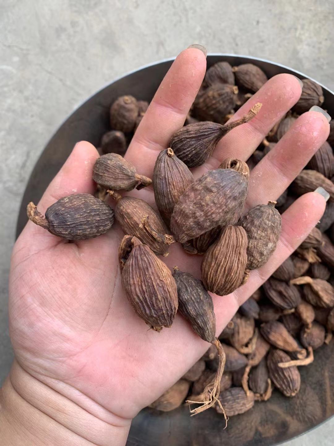 草果云南草果，全干无硫，草果粉，产地直销，量大优惠