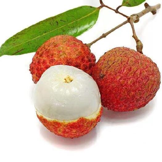 合肥 欢贡·廉江荔枝