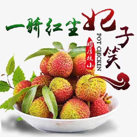 广州 欢贡·廉江荔枝