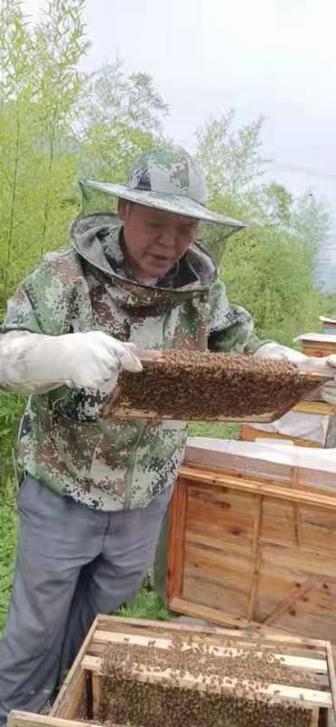 百花蜜 彈子山藥花蜜