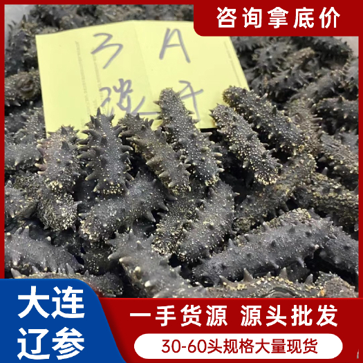 广州海参干  一手批发3A大连淡干辽参30-60头规格