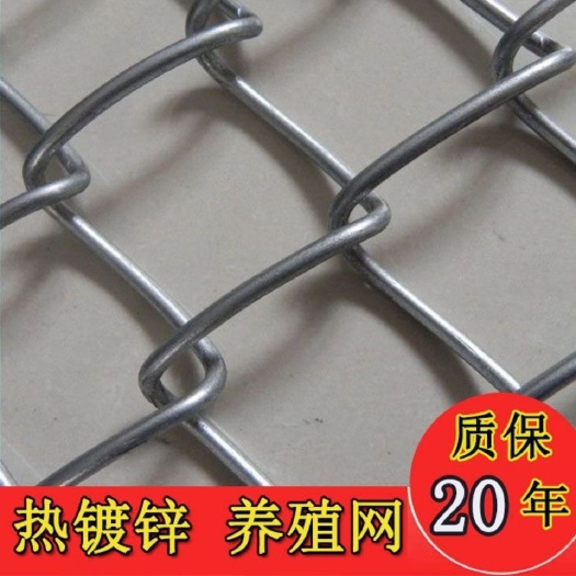 安平县荷兰网 圈牛羊猪网热镀锌丝防锈勾花网铁丝网牛羊防护鸡鸭网
