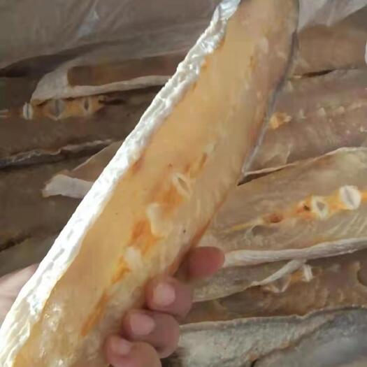 北海马友鱼优质水产干货批发价一手货源