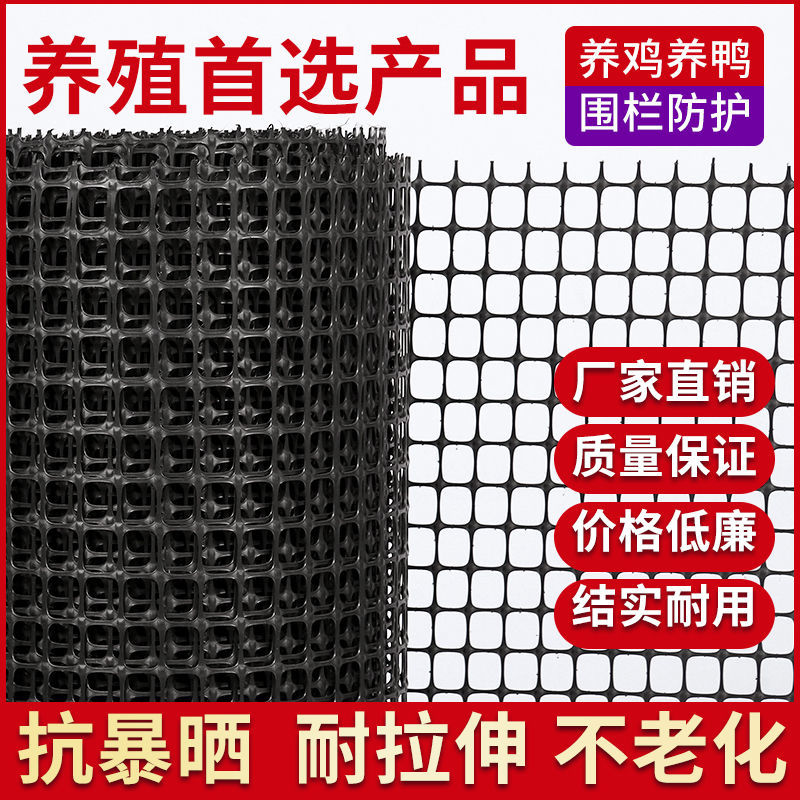  荷兰网 鸡鸭鹅养殖网  养鸡鸭围栏网 塑料养殖 鸡鸭防护