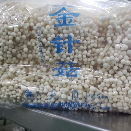 清丰县白金针菇 金针菇