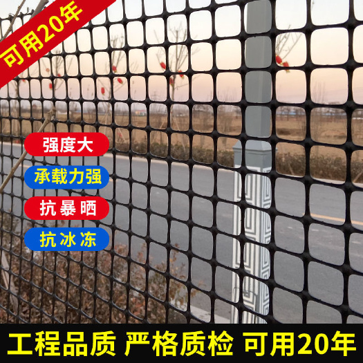 安平县 荷兰网 鸡鸭鹅养殖网  养鸡鸭围栏网 塑料养殖 鸡鸭防护