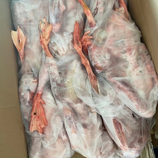 武汉 白条鹅大量有售！