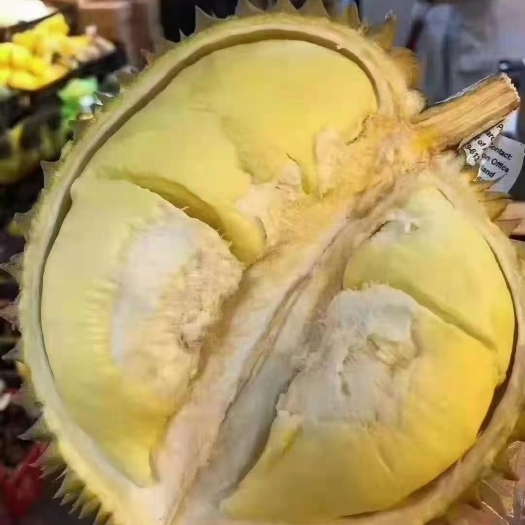 广州 泰国榴莲 金枕榴莲 承接贴牌整柜订货业务，泰国直发国内各市场