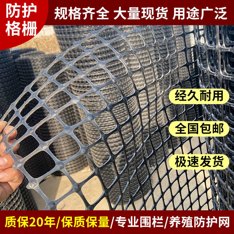  荷兰网 鸡鸭鹅养殖网  养鸡鸭围栏网 塑料养殖 鸡鸭防护