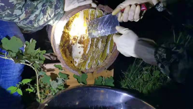 德江县锯齿山土蜂蜜