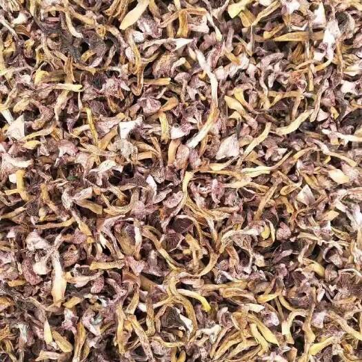 赤城县红菇  肉蘑/松树伞，烘干，自然干
