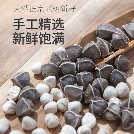 文山市辣木籽天然老树辣木籽泡茶泡水