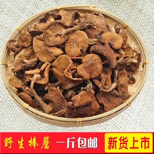 通化县干榛蘑 榛蘑批发