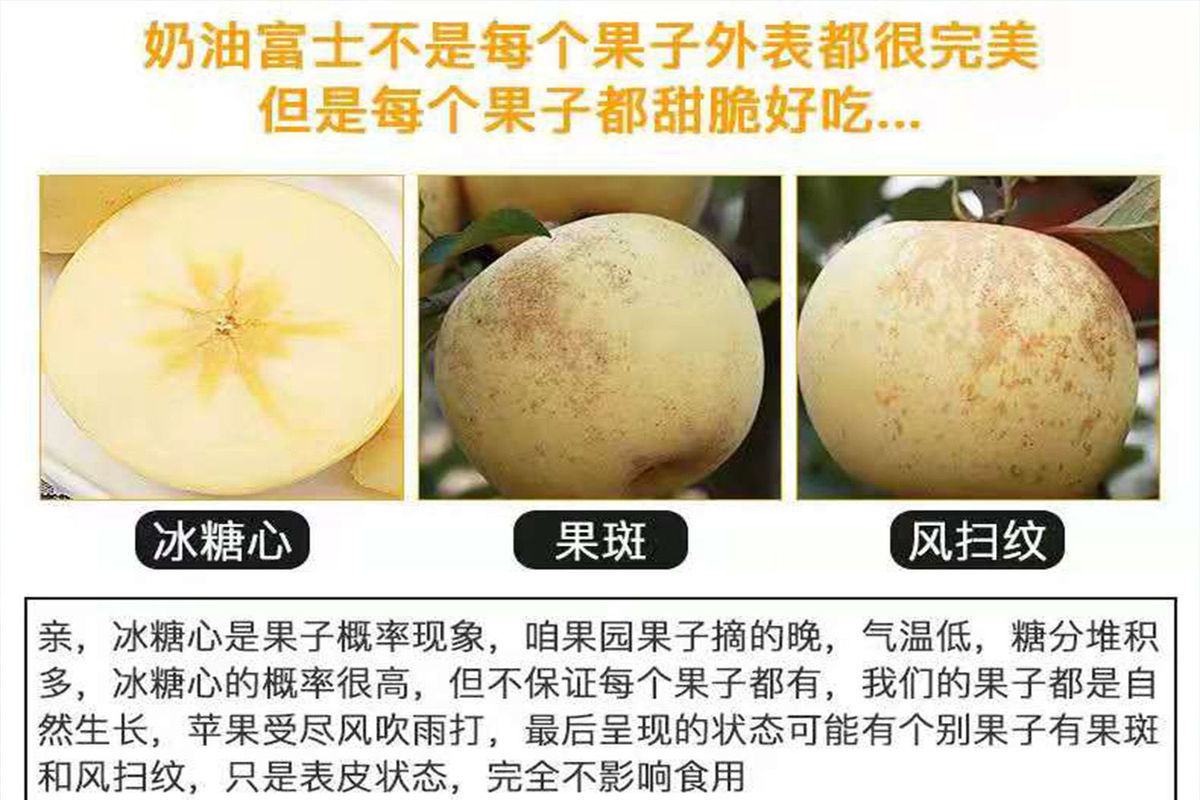 山东黄金奶油富士苹果 脆甜可口香甜多汁非红富士 5斤新鲜水果